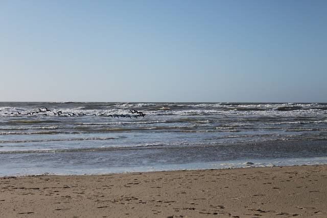 Nordsee